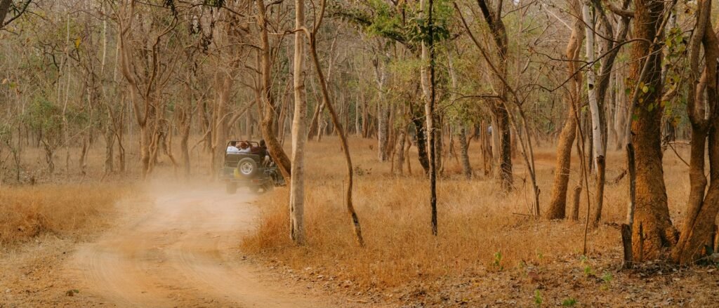 Safari gypsy on a dusty forest track in Pench National Park